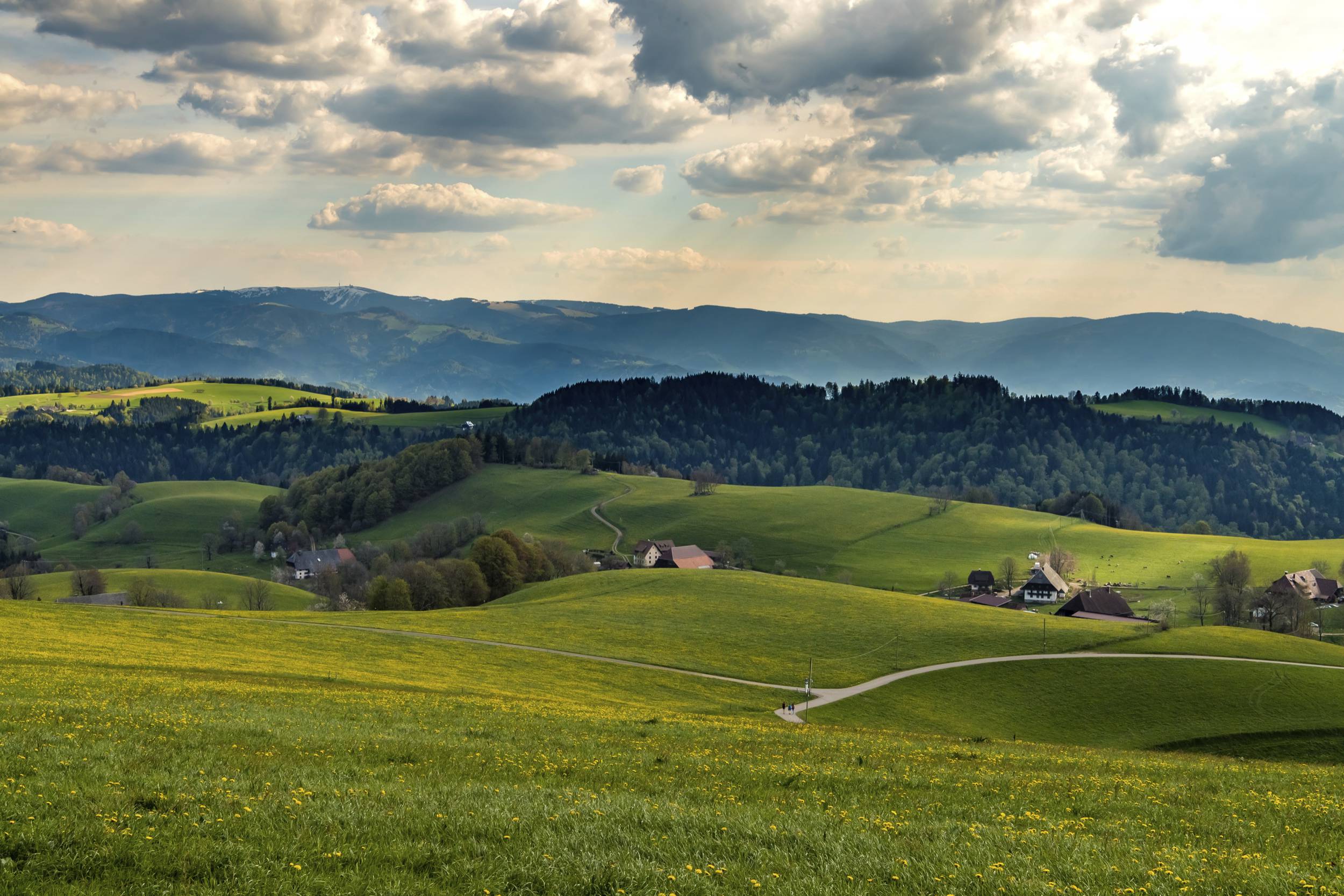 Schwarzwald