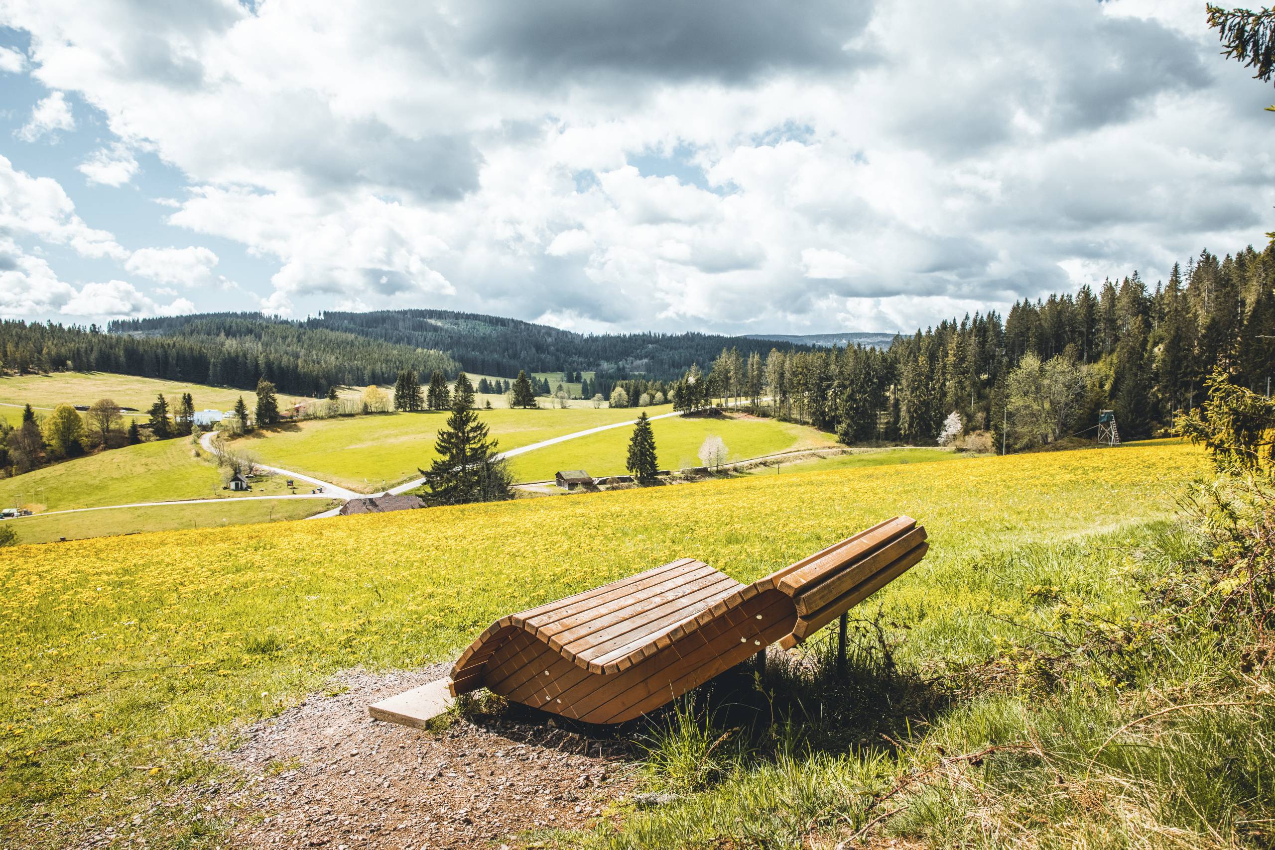 Hoschwarzwald Hirtenpfad