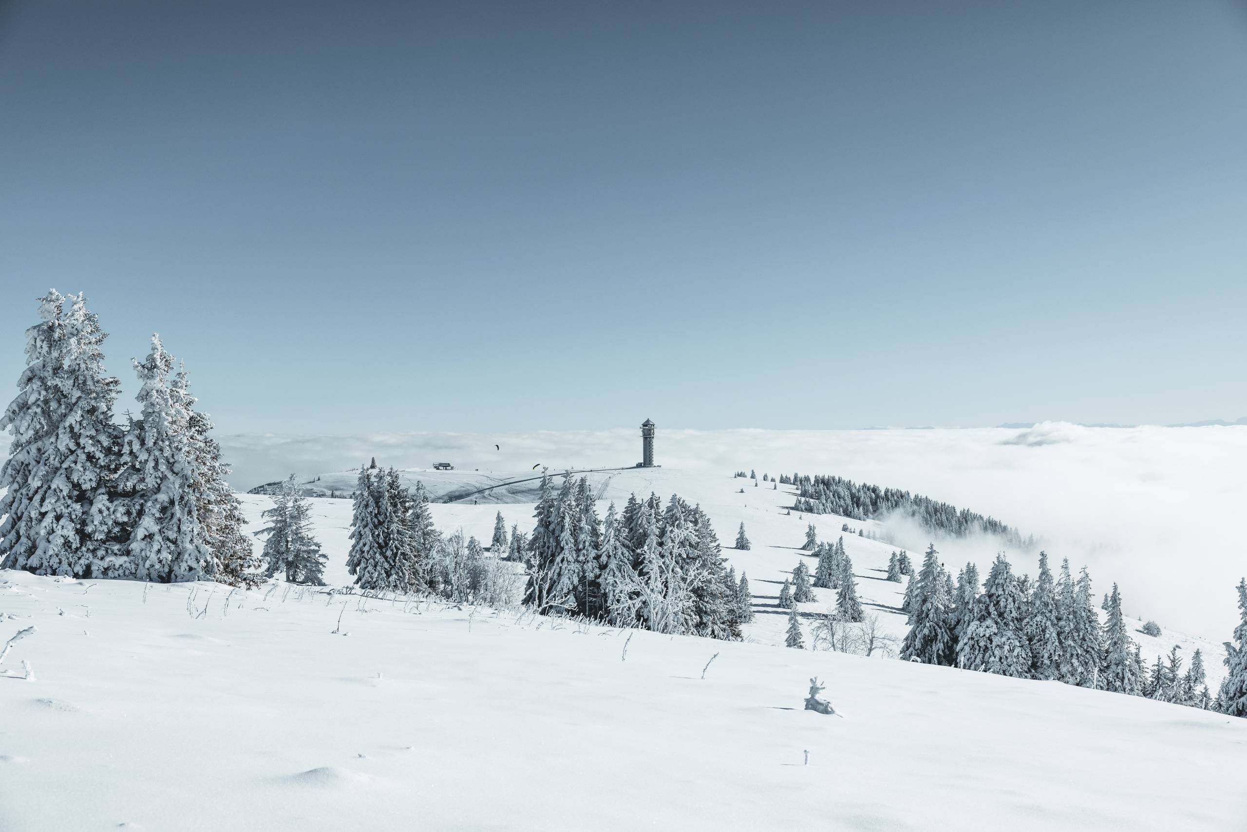 Winter Schwarzwald Feldberg