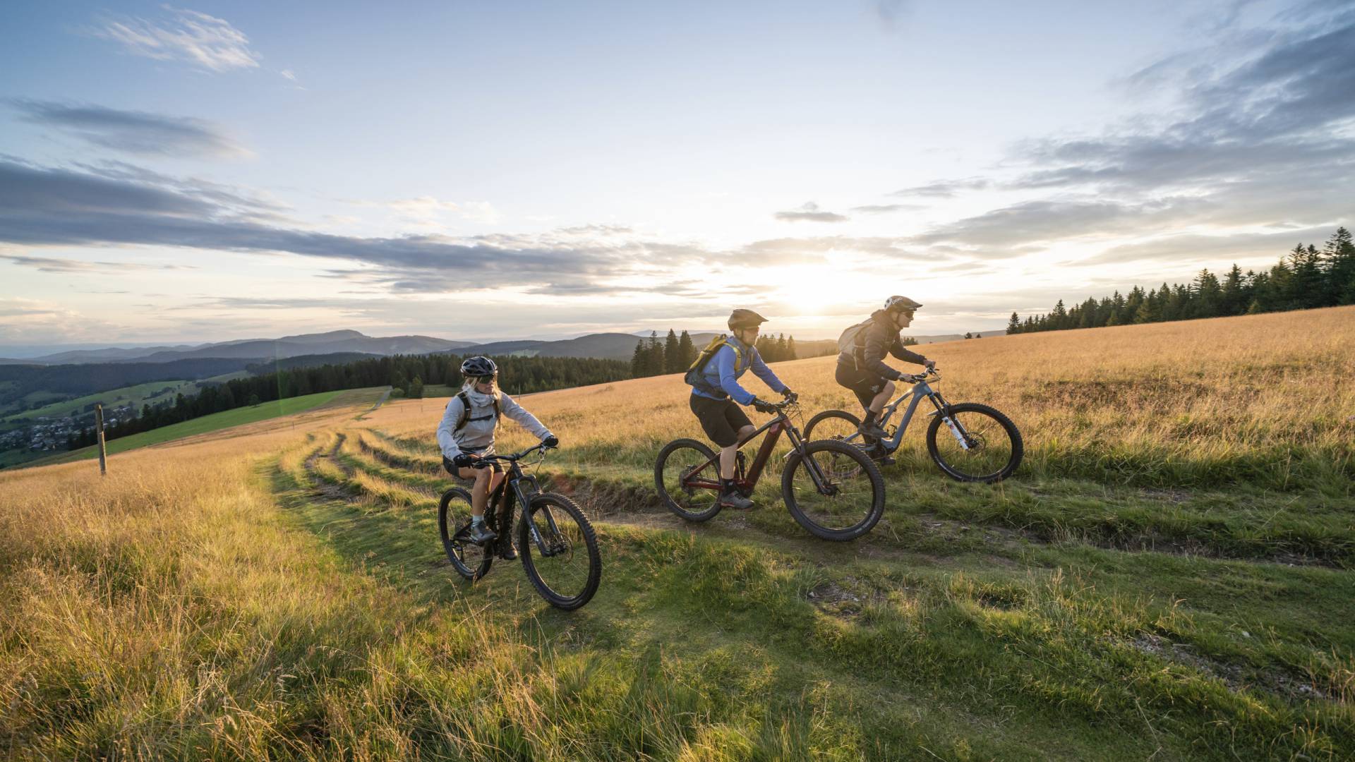 Mountainbiken im Schwarzwald