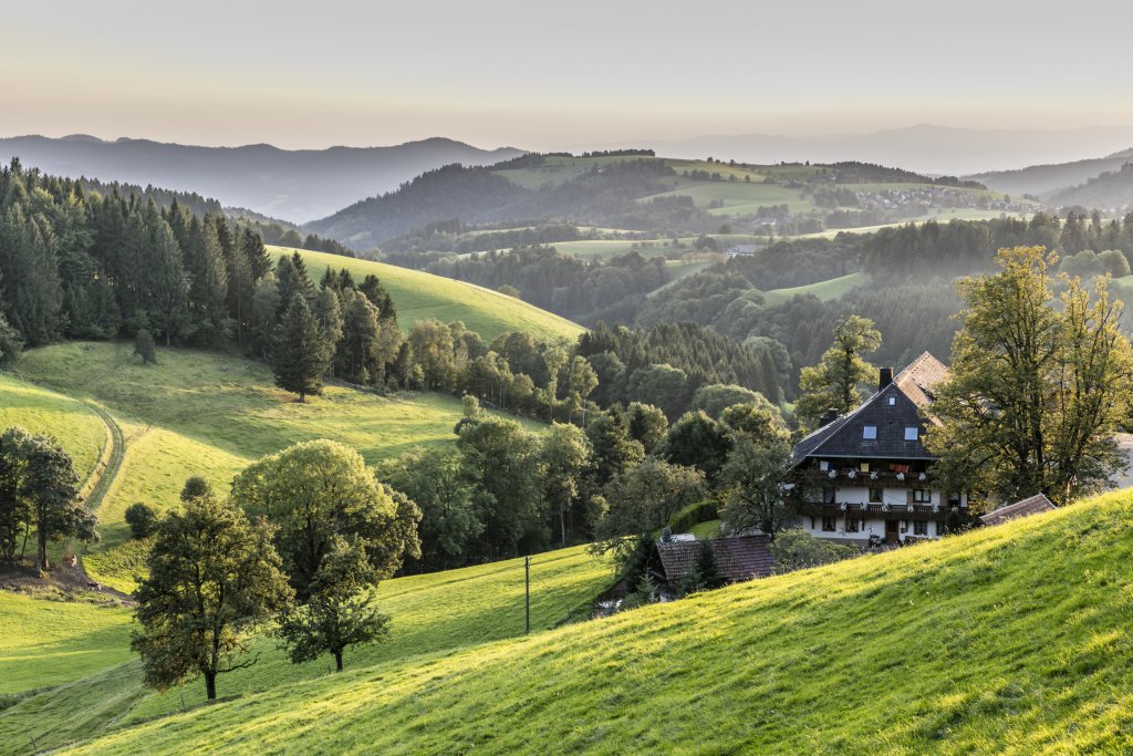 Den Schwarzwald erkunden Sonne St. Peter
