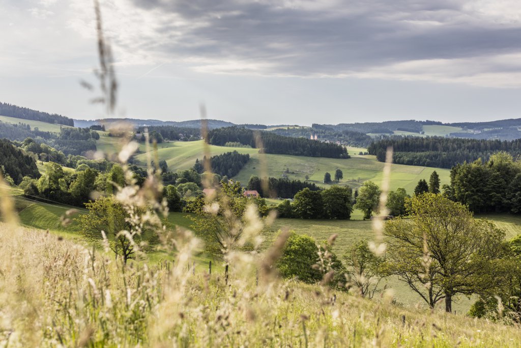 Der Schwarzwald rund um's Hotel Sonne St. Peter