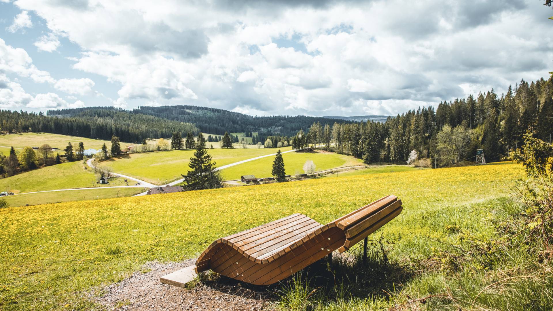 Hoschwarzwald Hirtenpfad