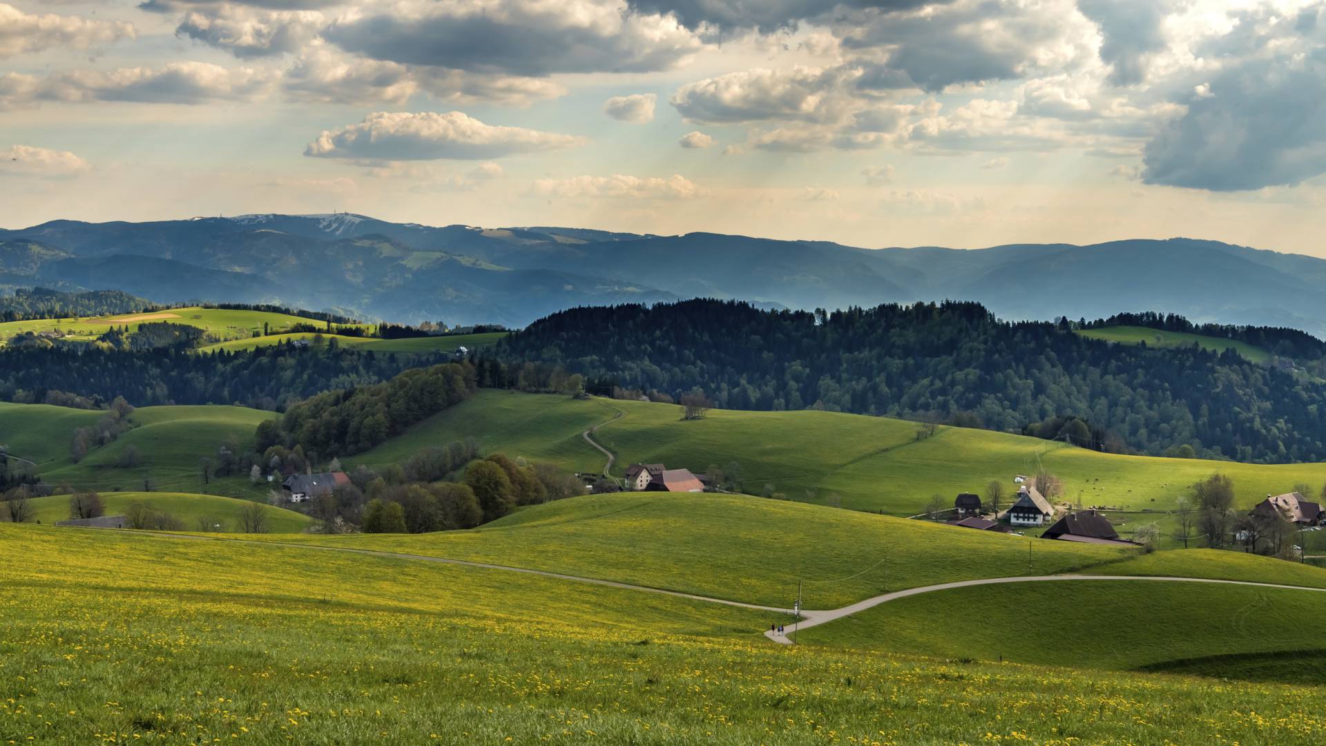 Schwarzwald