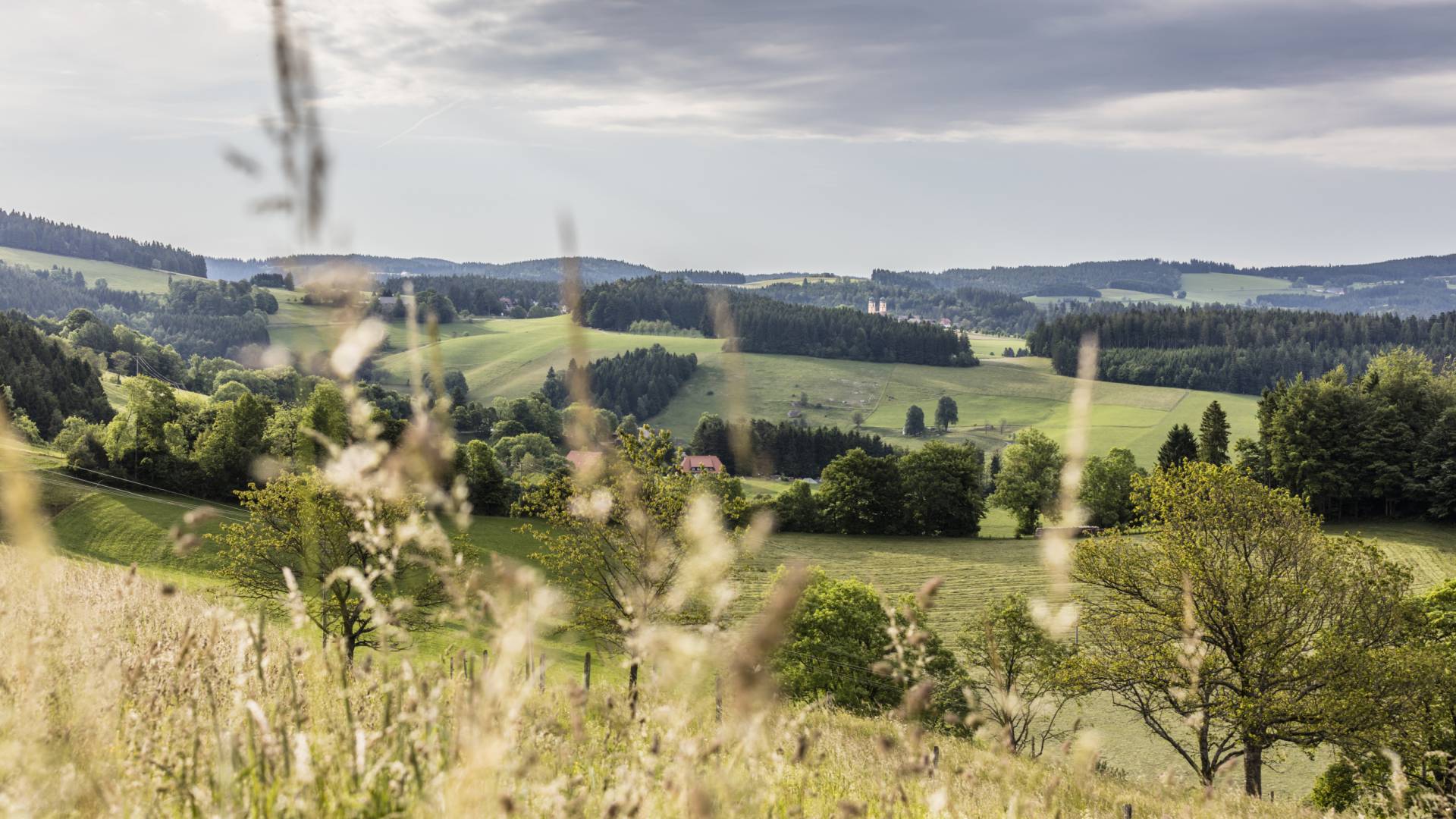 Schwarzwald Panorama St. Peter